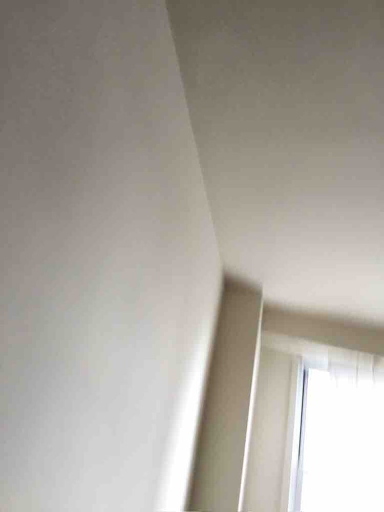 法拉盛中心，大单